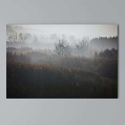 AUTUMNAL HAZE Cuadro en lienzo horizontal