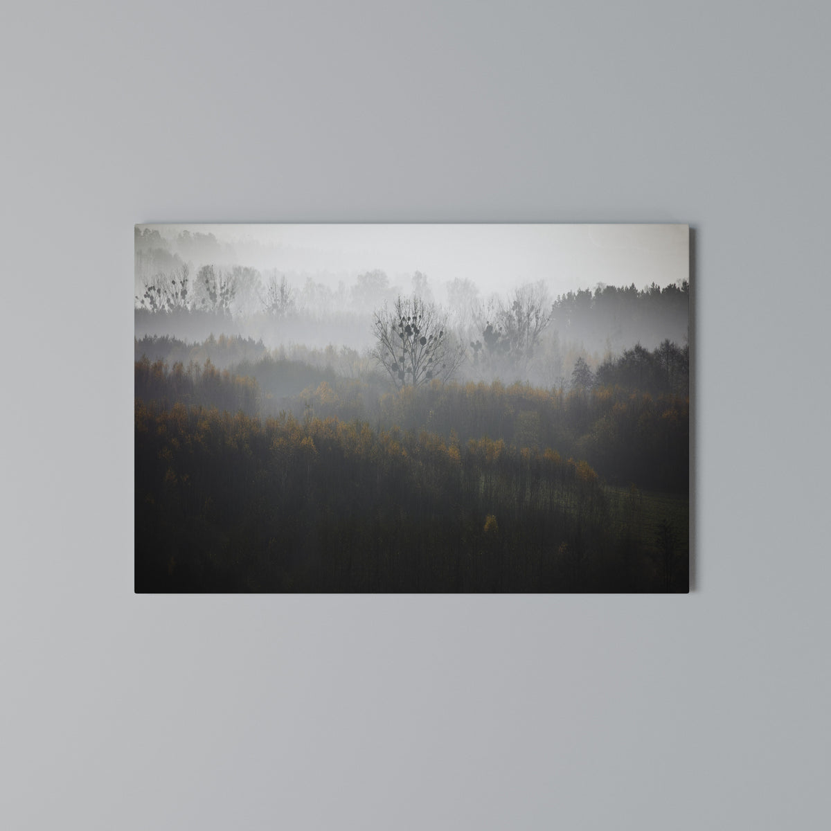 AUTUMNAL HAZE Cuadro en lienzo horizontal