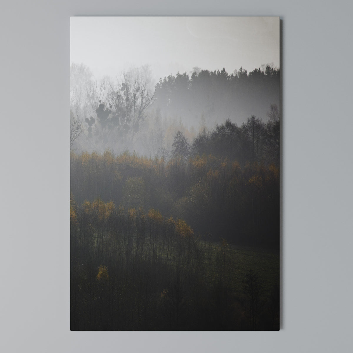AUTUMNAL HAZE Cuadro en lienzo vertical