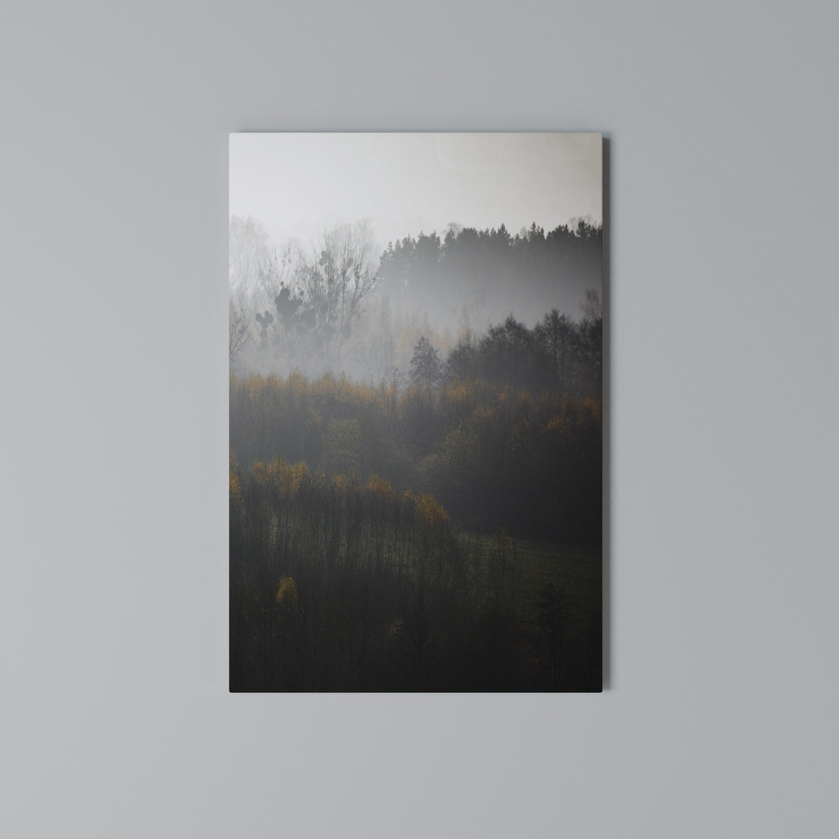 AUTUMNAL HAZE Cuadro en lienzo vertical