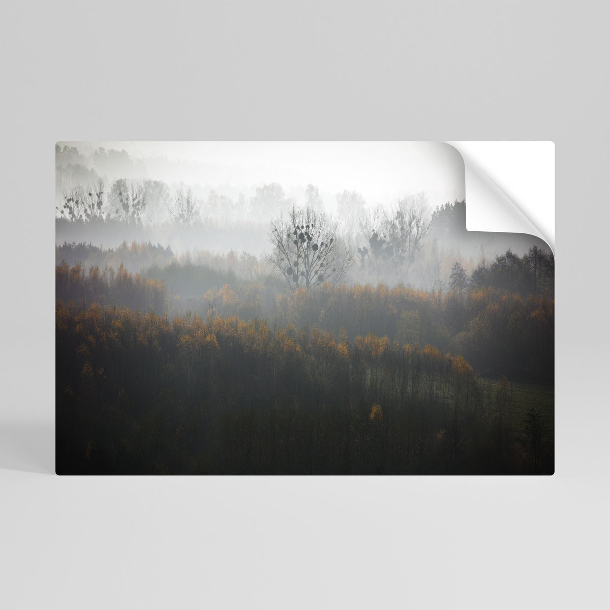 AUTUMNAL HAZE Póster adhesivo horizontal