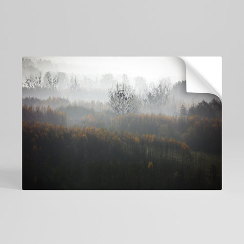 AUTUMNAL HAZE Peel and Stick Horizontal Poster