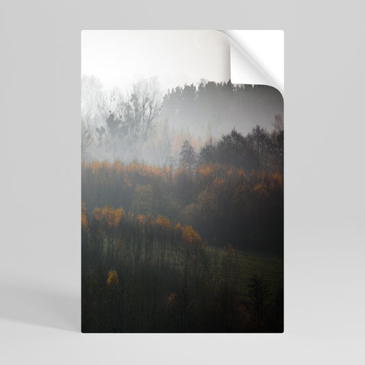 AUTUMNAL HAZE Póster adhesivo vertical