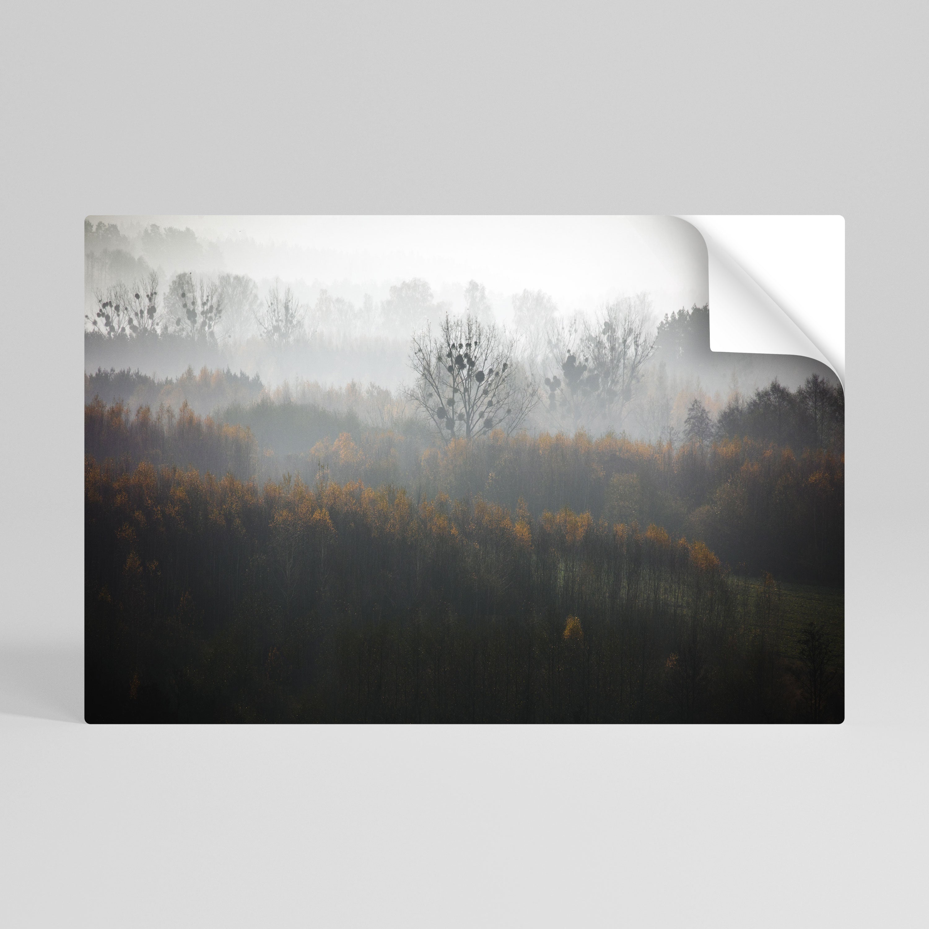 AUTUMNAL HAZE Peel and Stick Horizontal Poster