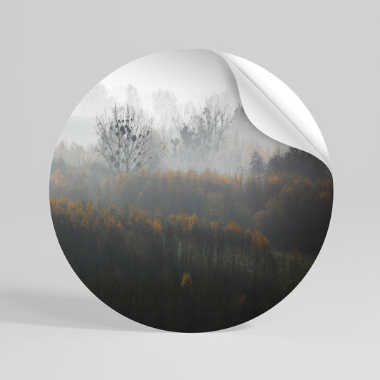 AUTUMNAL HAZE Vinilo adhesivo redondo