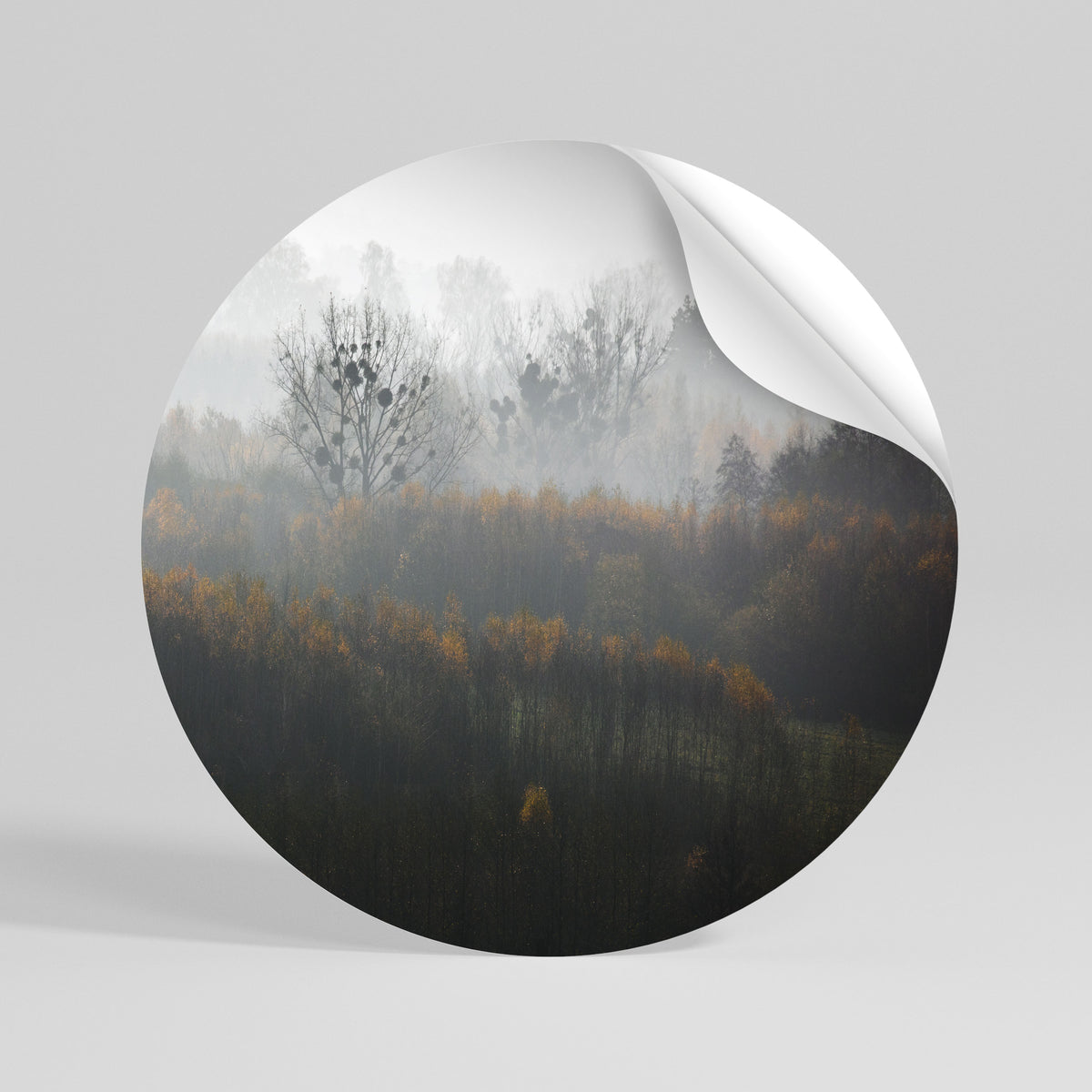 AUTUMNAL HAZE Vinilo adhesivo redondo