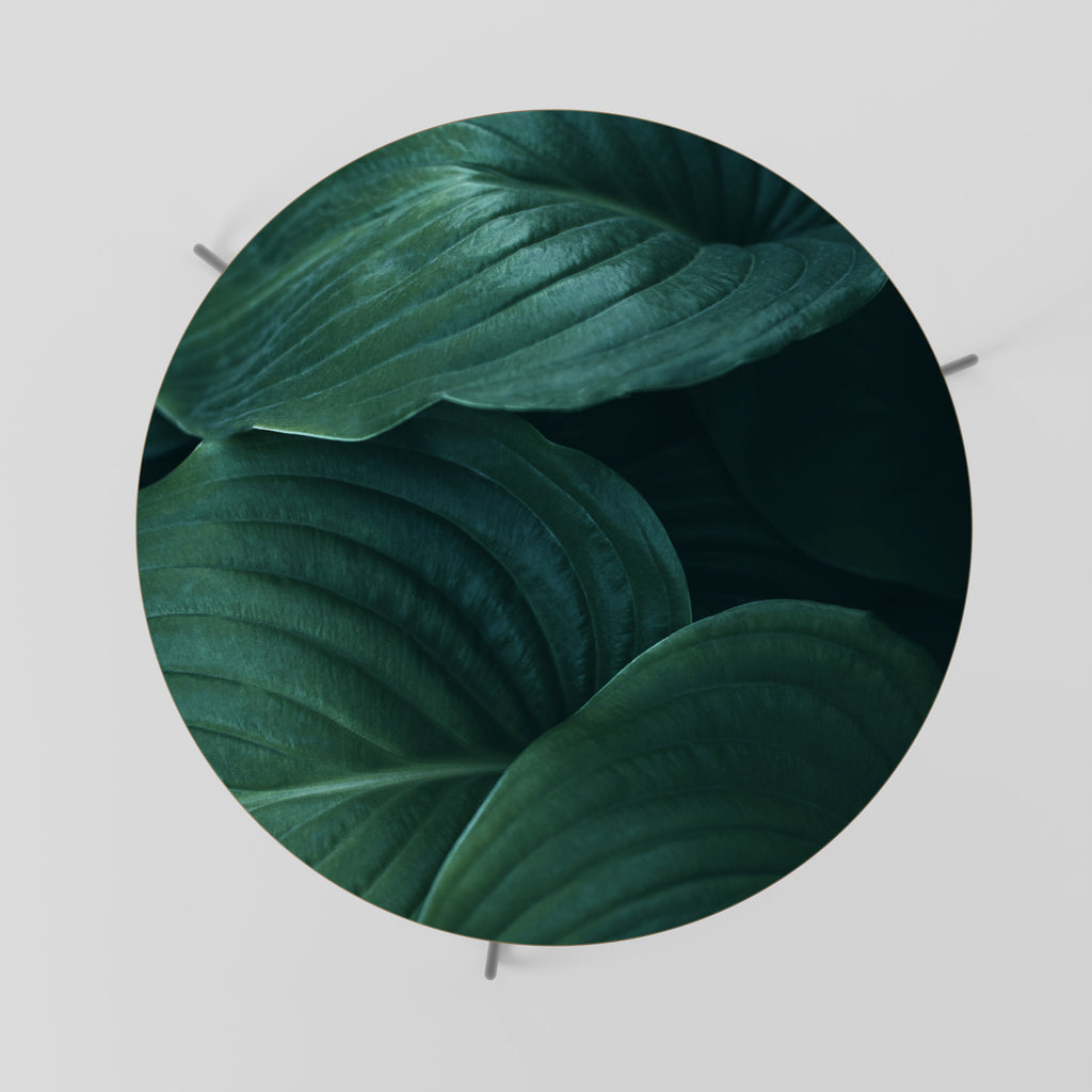 Mesa de centro 69 con matices botánicos sutiles