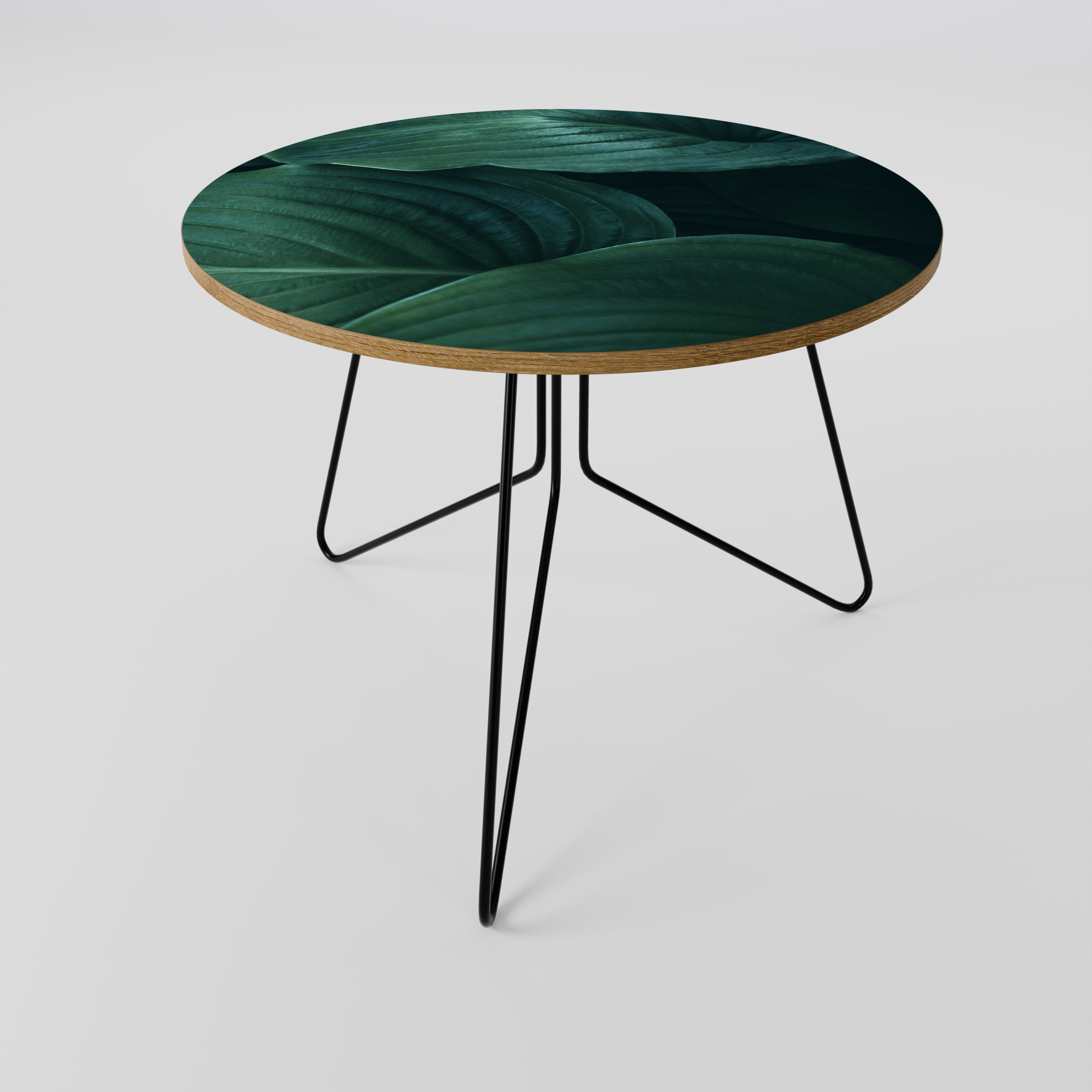 SUBTLE BOTANICAL HUES Coffee Table