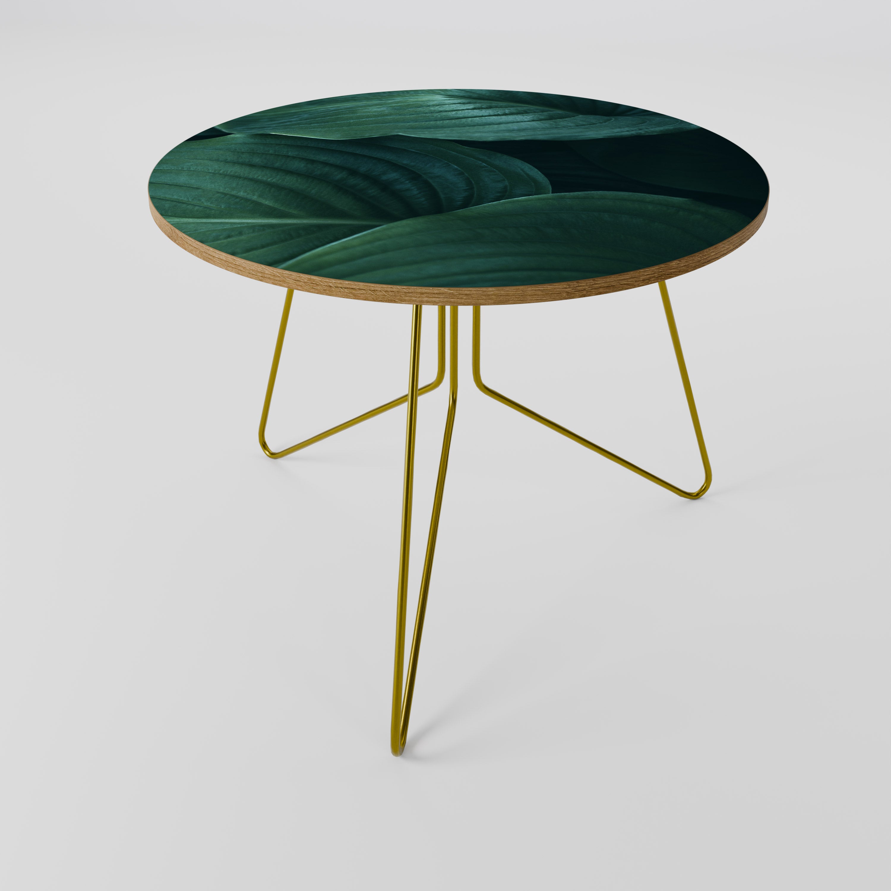 SUBTLE BOTANICAL HUES Coffee Table