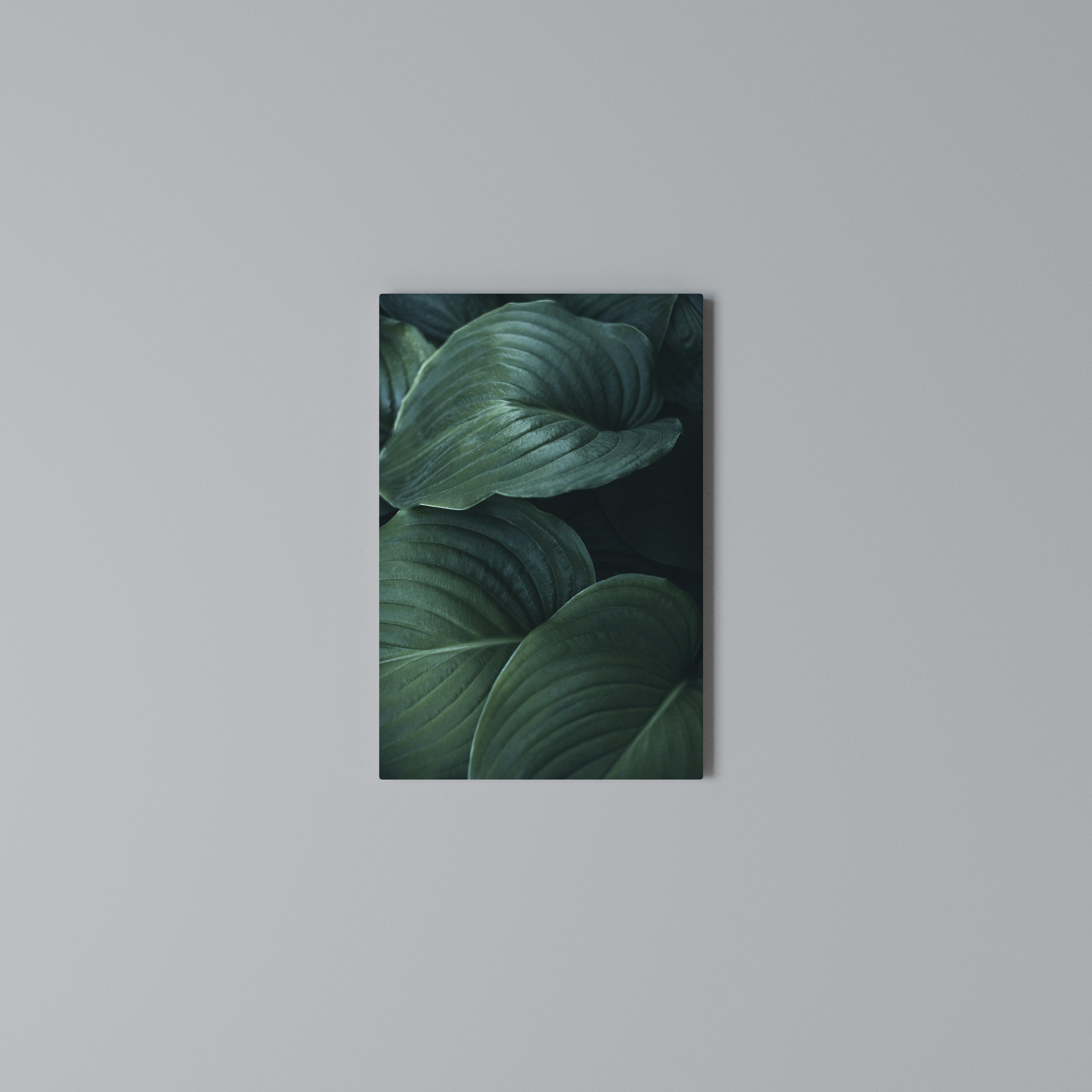 SUBTLE BOTANICAL HUES Cuadro en lienzo vertical