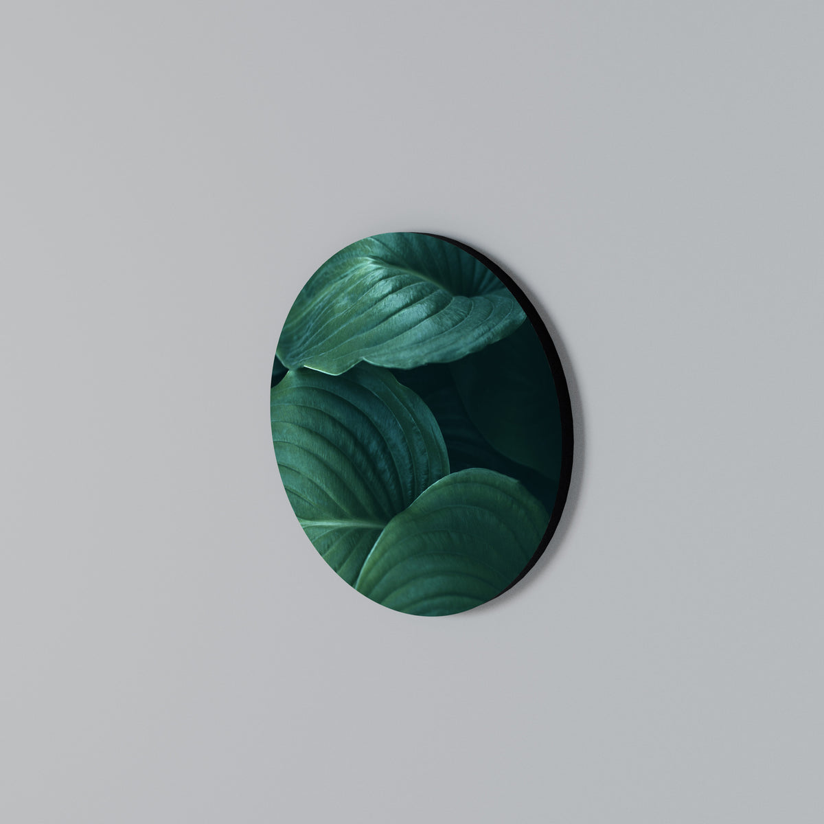 SUBTLE BOTANICAL HUES Arte de pared redondo