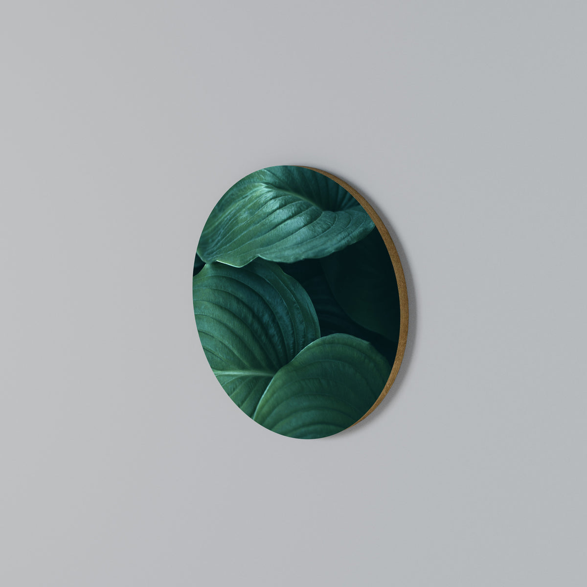 SUBTLE BOTANICAL HUES Arte de pared redondo