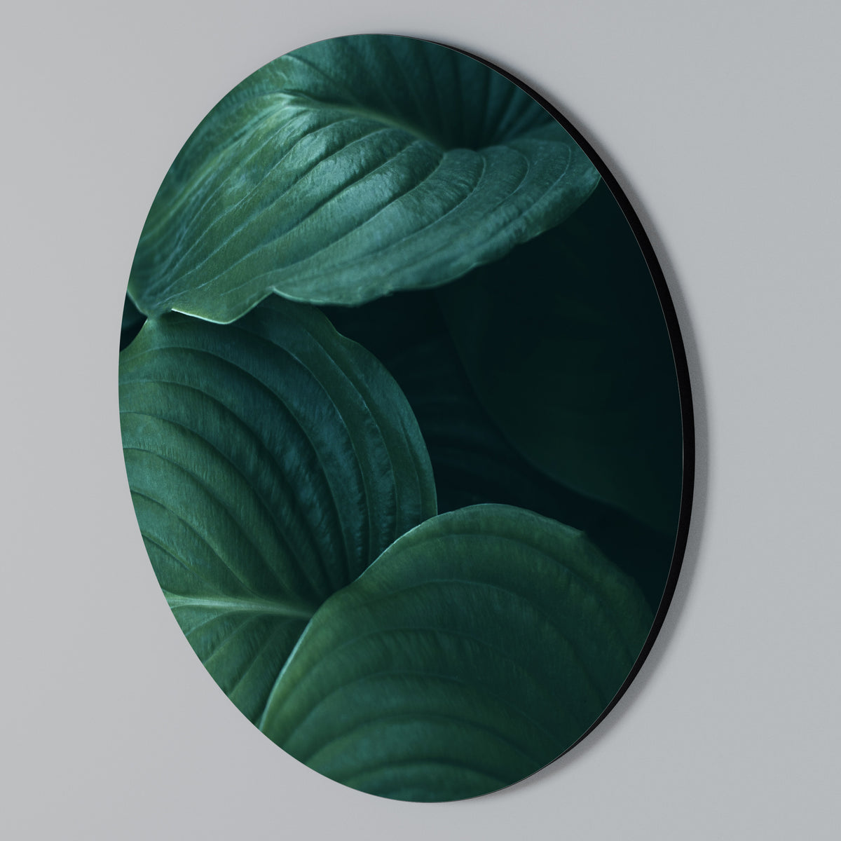 SUBTLE BOTANICAL HUES Arte de pared redondo
