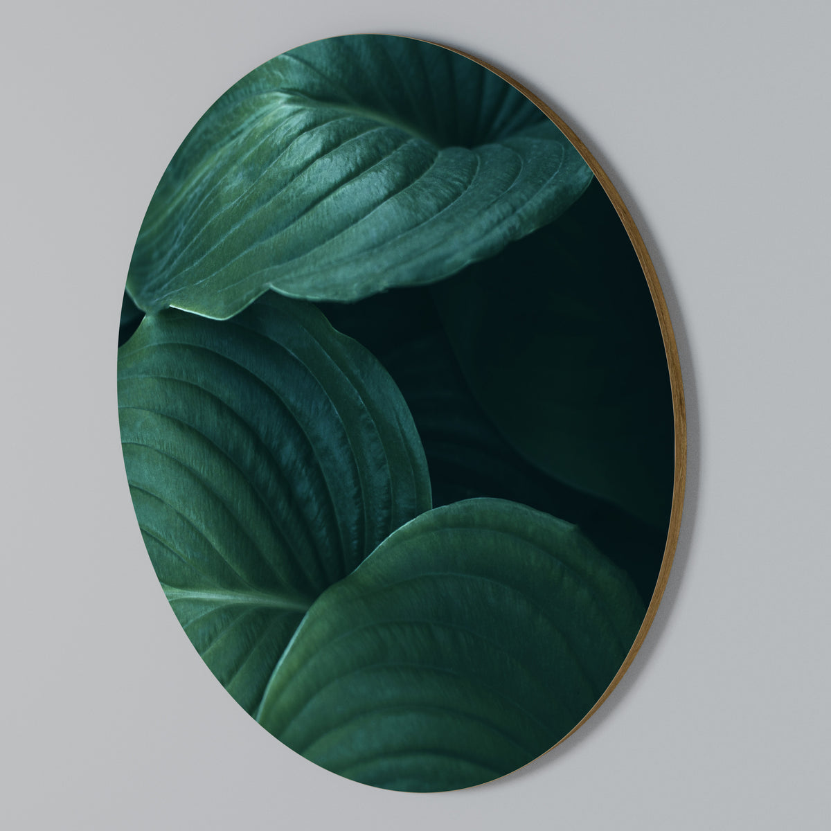SUBTLE BOTANICAL HUES Arte de pared redondo