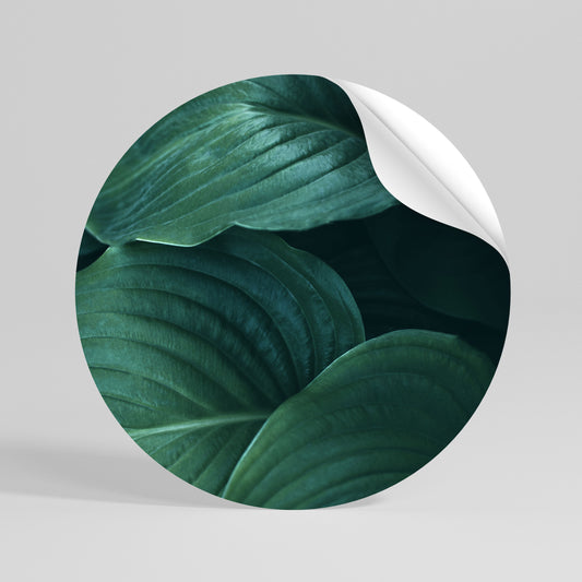 SUBTLE BOTANICAL HUES Vinilo adhesivo redondo