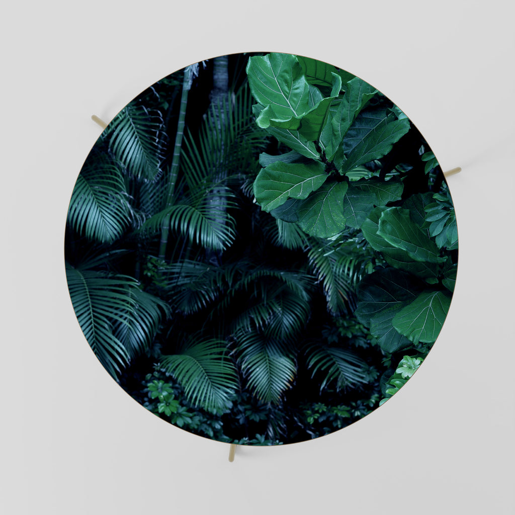 Mesa de centro SERENADE DEEP JUNGLE 69