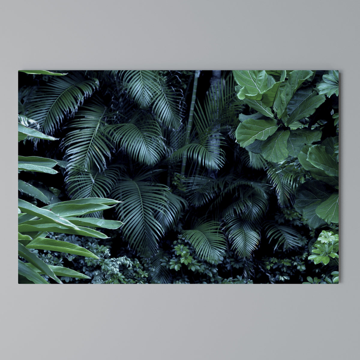 DEEP JUNGLE SERENADE Cuadro en lienzo horizontal