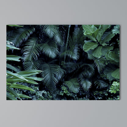 DEEP JUNGLE SERENADE Cuadro en lienzo horizontal
