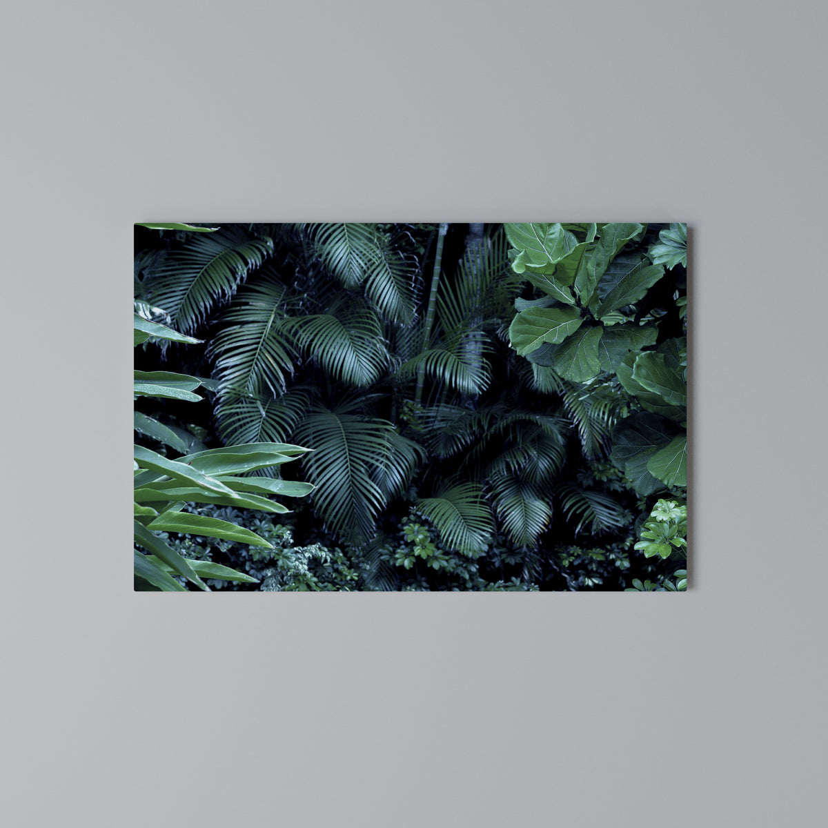 DEEP JUNGLE SERENADE Cuadro en lienzo horizontal