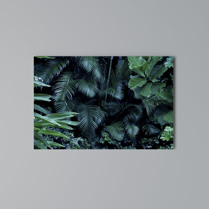 DEEP JUNGLE SERENADE Cuadro en lienzo horizontal
