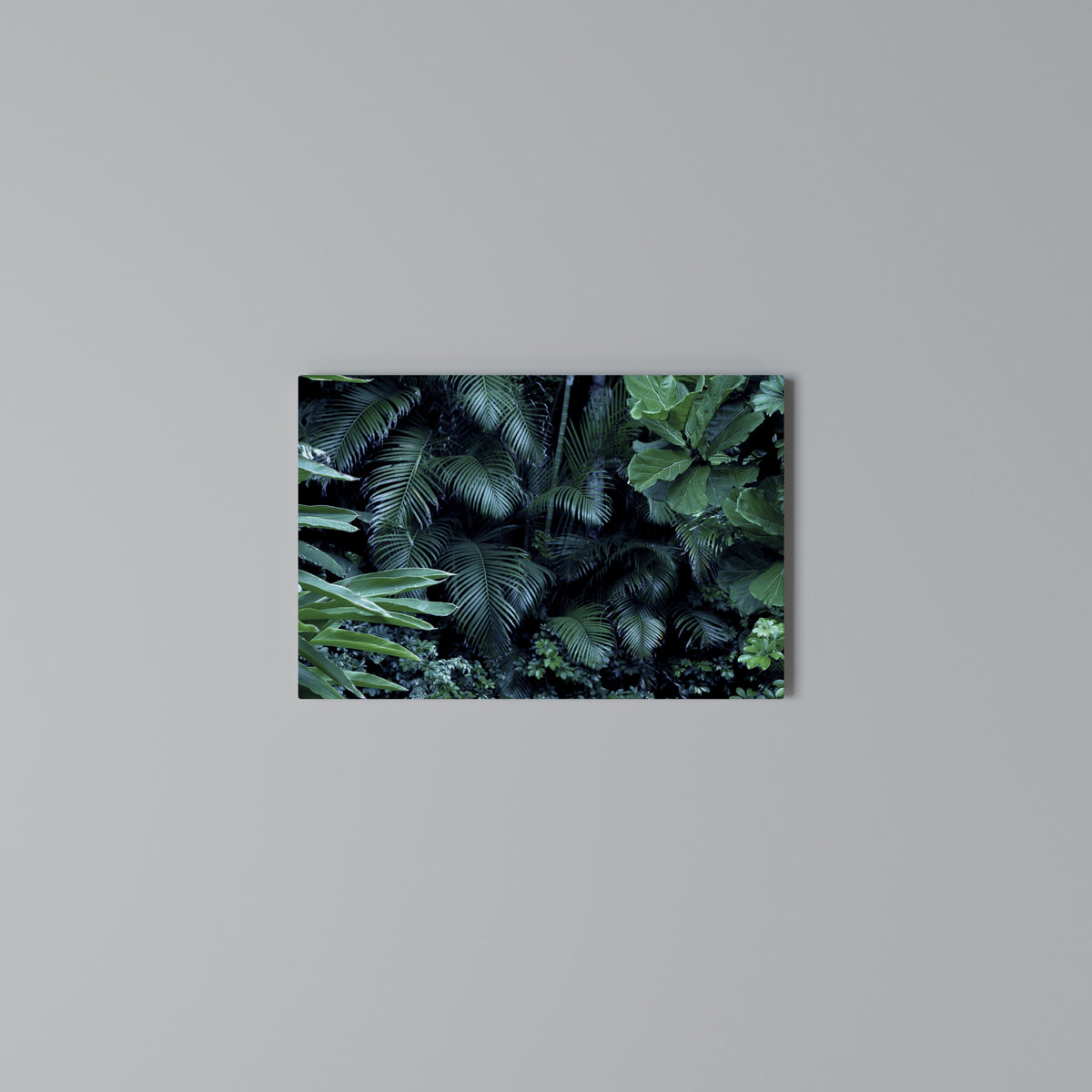 DEEP JUNGLE SERENADE Cuadro en lienzo horizontal