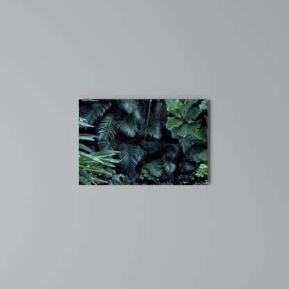 DEEP JUNGLE SERENADE Cuadro en lienzo horizontal