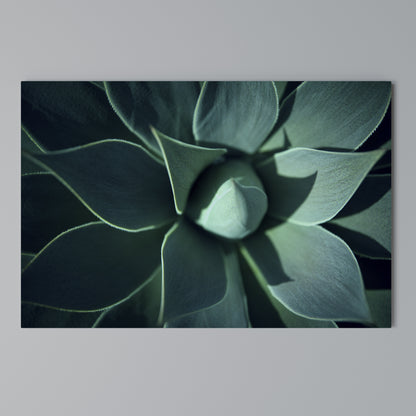 MYSTICAL GREEN WHORL Cuadro en lienzo horizontal