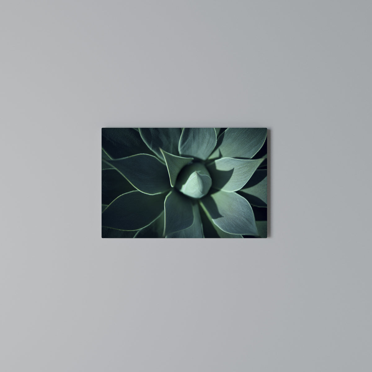 MYSTICAL GREEN WHORL Cuadro en lienzo horizontal