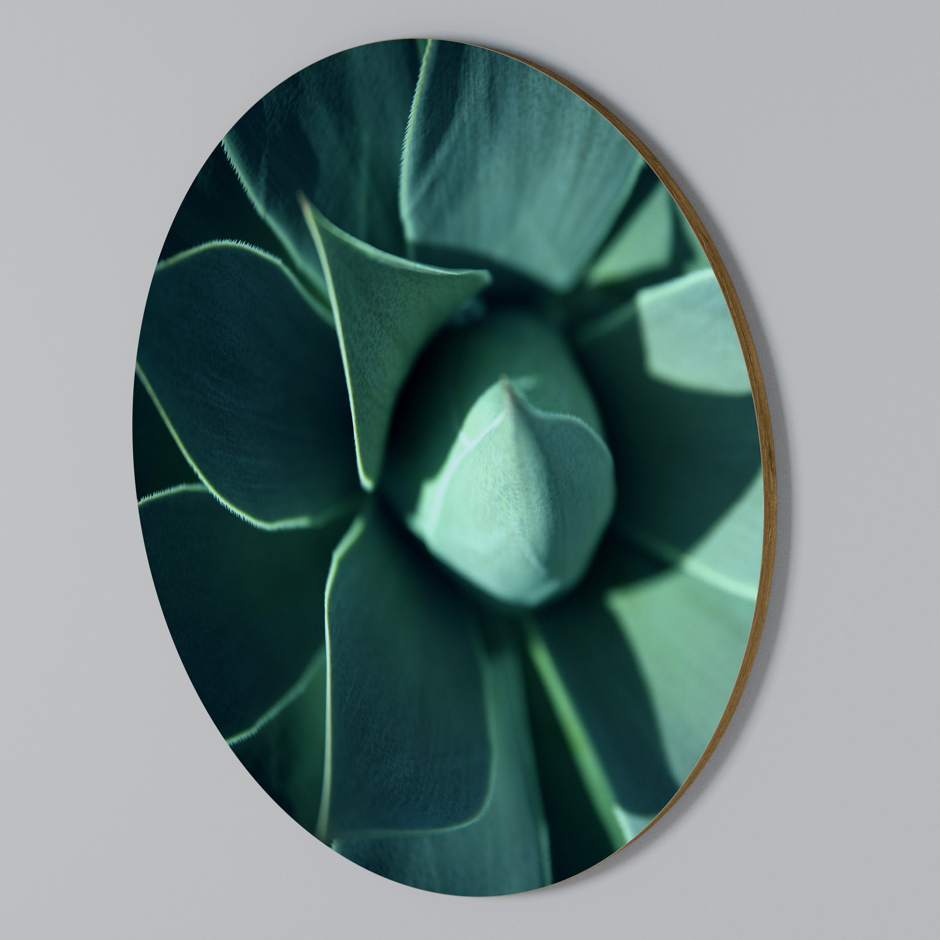 MYSTICAL GREEN WHORL Round Wall Art