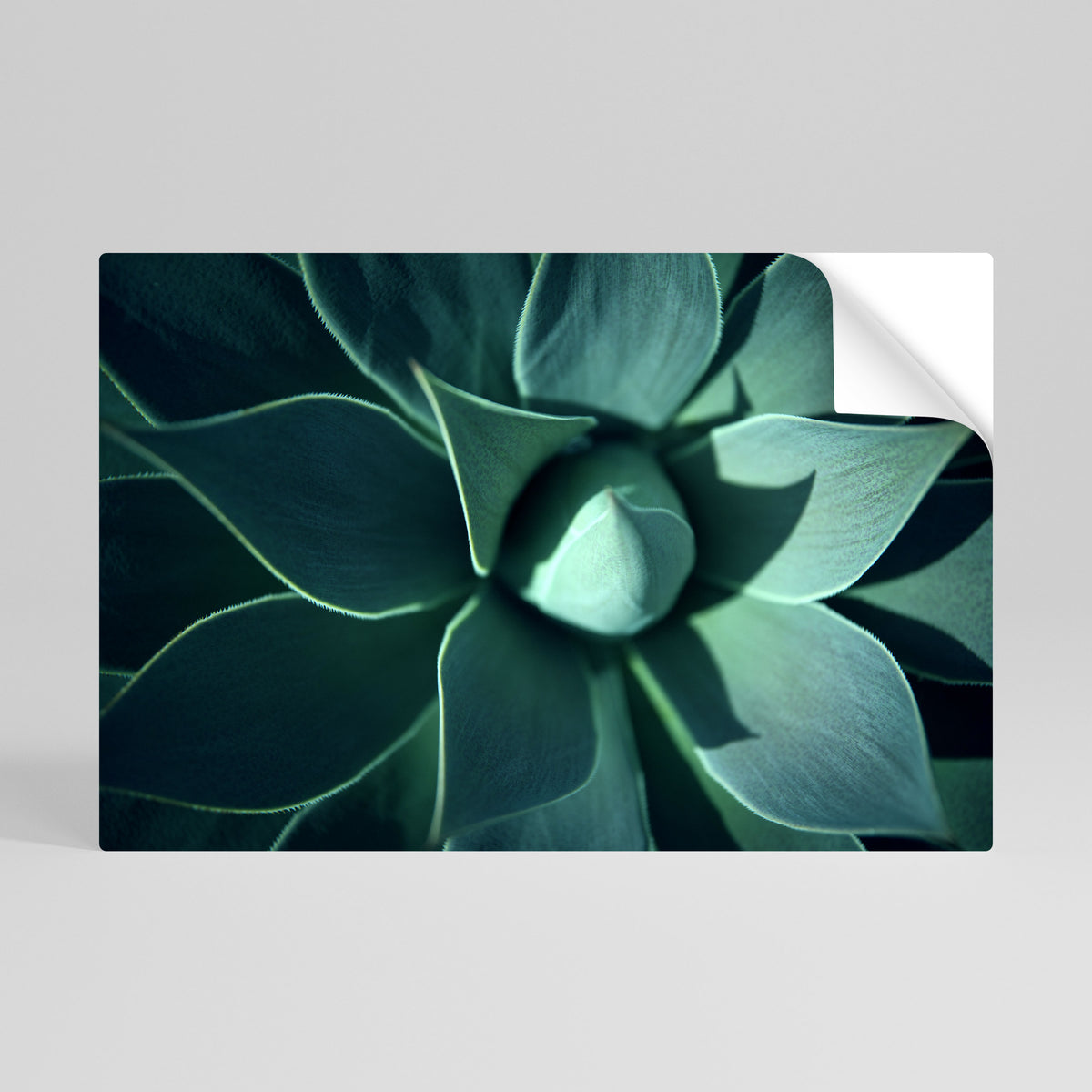 MYSTICAL GREEN WHORL Póster adhesivo horizontal