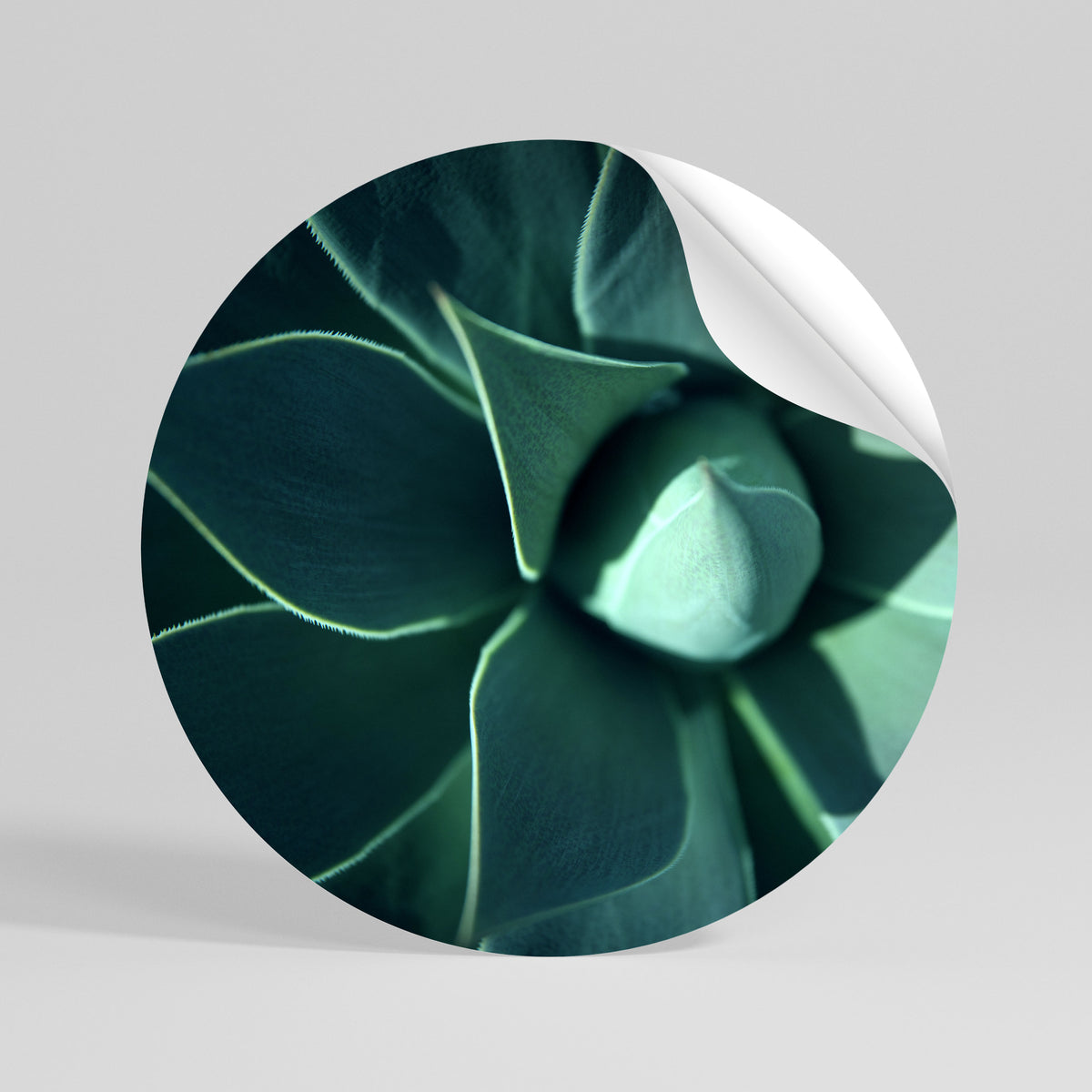 MYSTICAL GREEN WHORL Vinilo adhesivo redondo