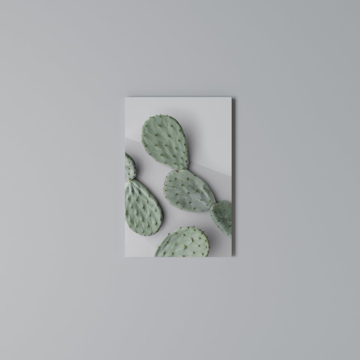 CACTUS DREAMSCAPE Cuadro en lienzo vertical