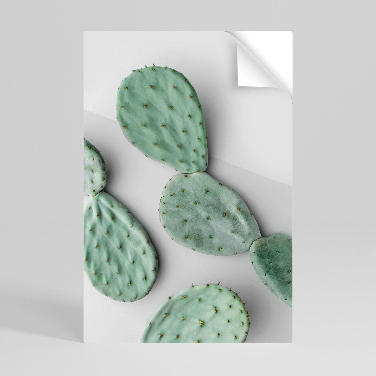 CACTUS DREAMSCAPE Póster adhesivo vertical