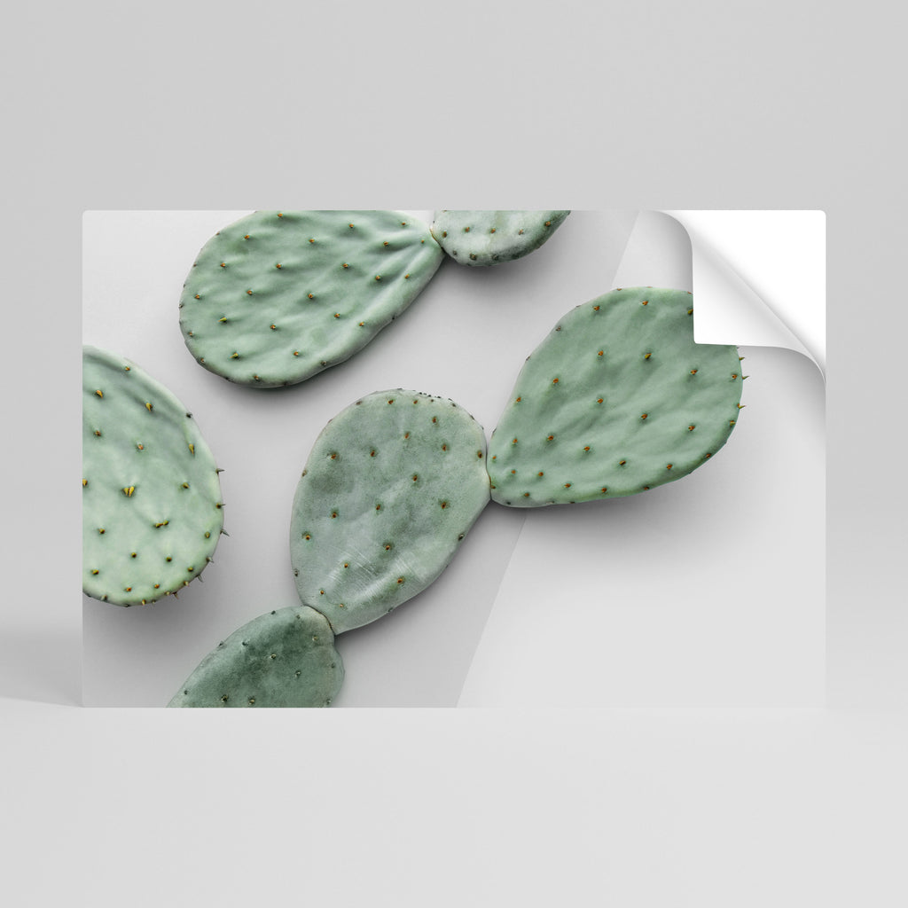 Póster horizontal autoadhesivo "Paisaje de ensueño con cactus"