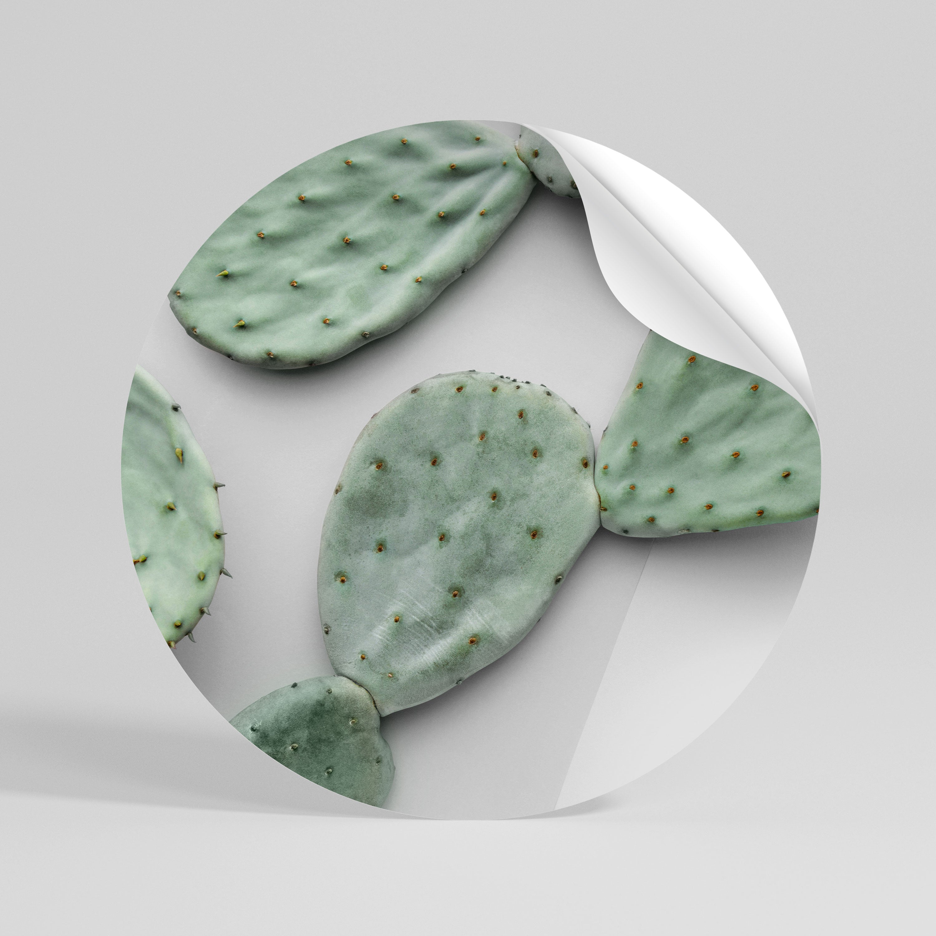 CACTUS DREAMSCAPE Peel and Stick Round Sticker