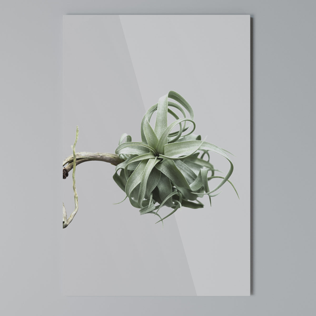TANGLE OF NATURE Cuadro en lienzo vertical