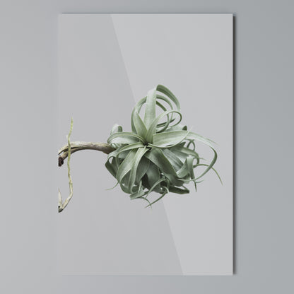 TANGLE OF NATURE Cuadro en lienzo vertical