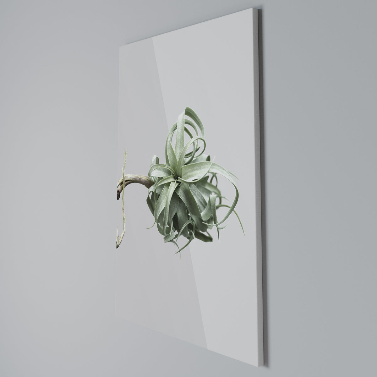 TANGLE OF NATURE Cuadro en lienzo vertical