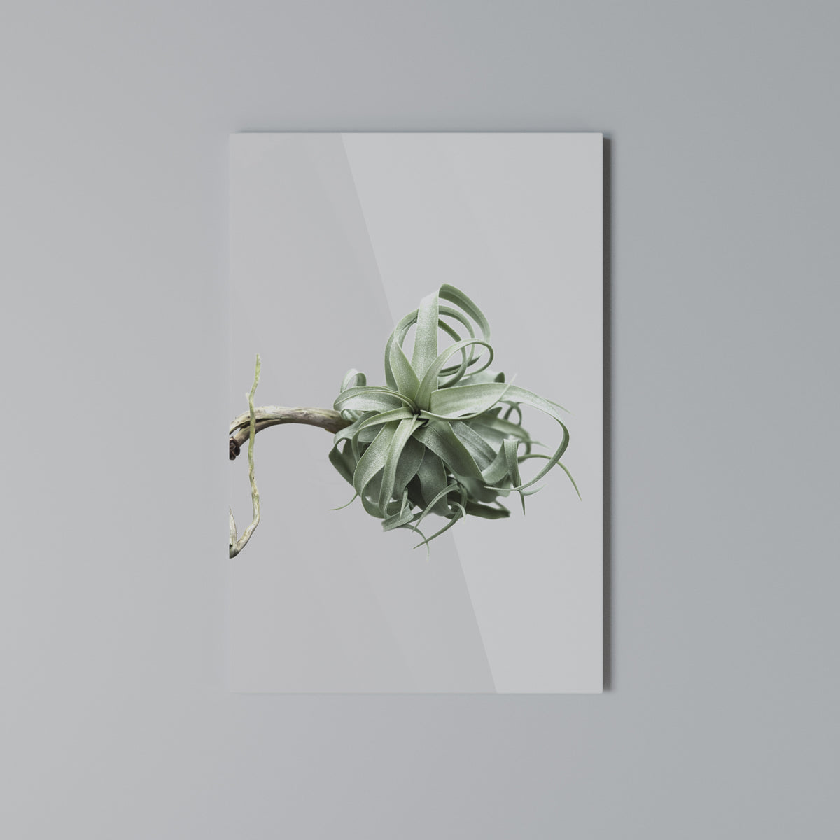 TANGLE OF NATURE Cuadro en lienzo vertical