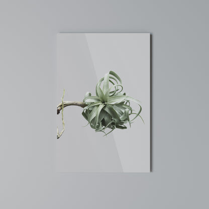 TANGLE OF NATURE Cuadro en lienzo vertical