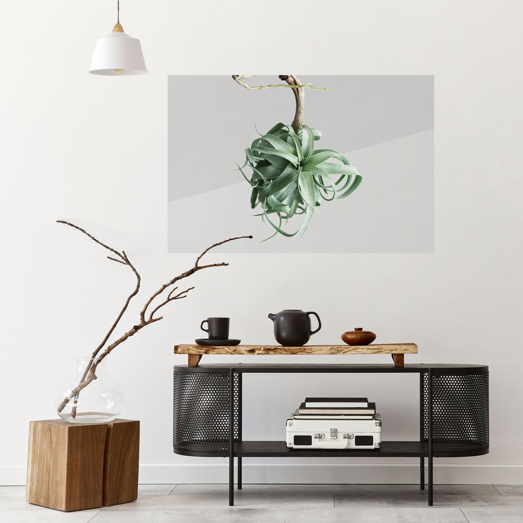 MARAÑA DE LA NATURALEZA Póster horizontal autoadhesivo