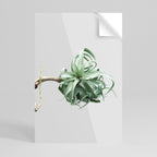 TANGLE OF NATURE Póster Vertical Adhesivo