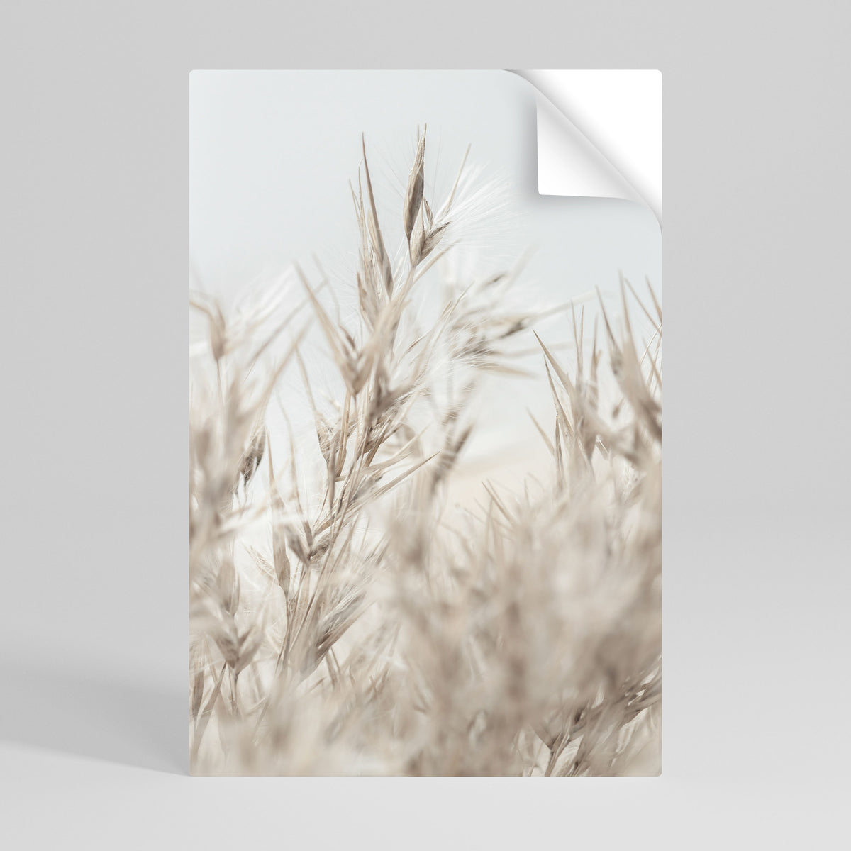 TRANQUIL GRASSES Póster adhesivo vertical