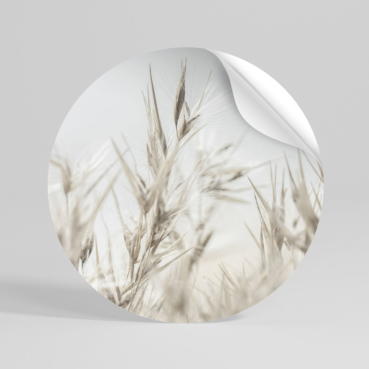 TRANQUIL GRASSES Vinilo adhesivo redondo