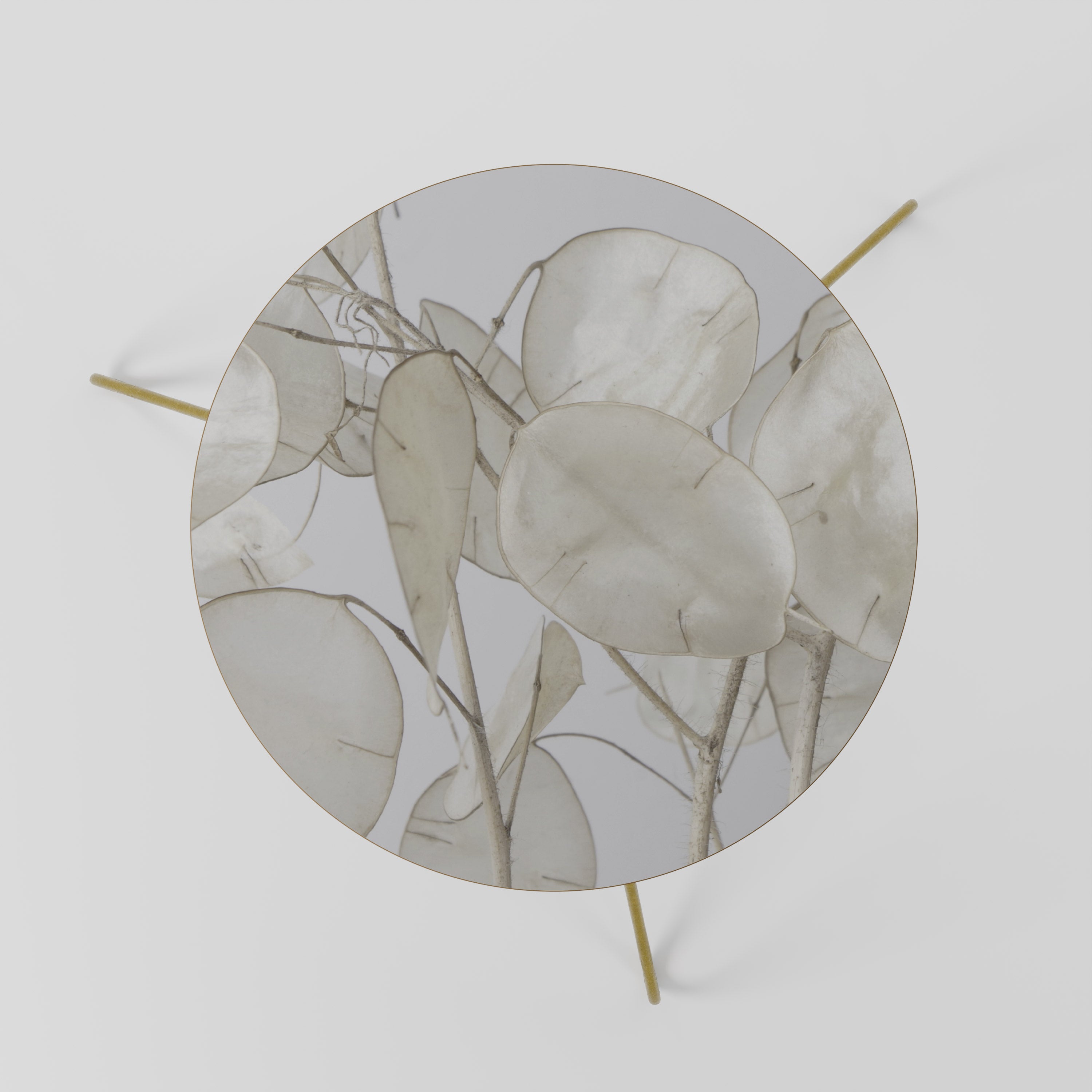 SILKY FOLIAGE WHISPERS Coffee Table 60