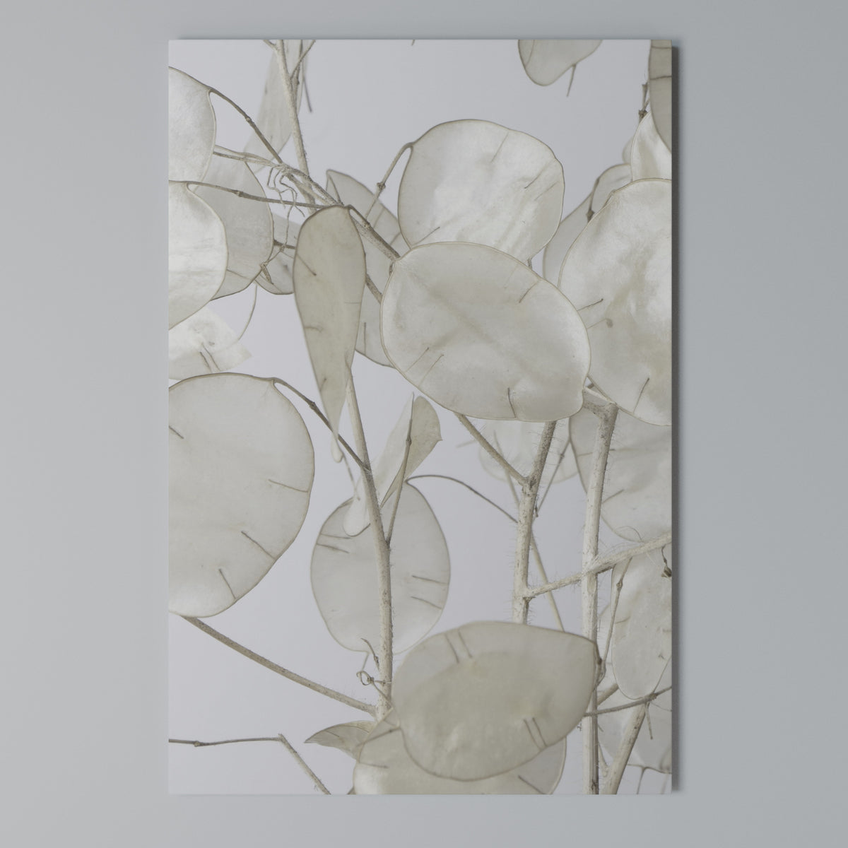SILKY FOLIAGE WHISPERS Cuadro en lienzo vertical
