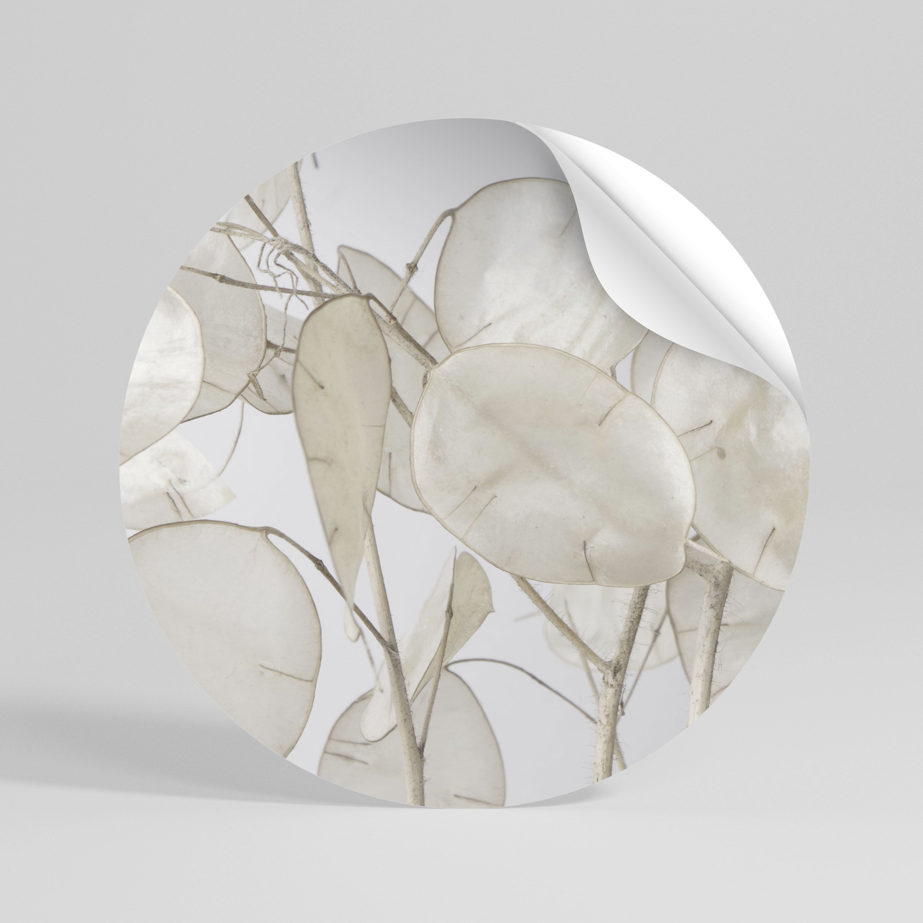 SILKY FOLIAGE WHISPERS Vinilo adhesivo redondo