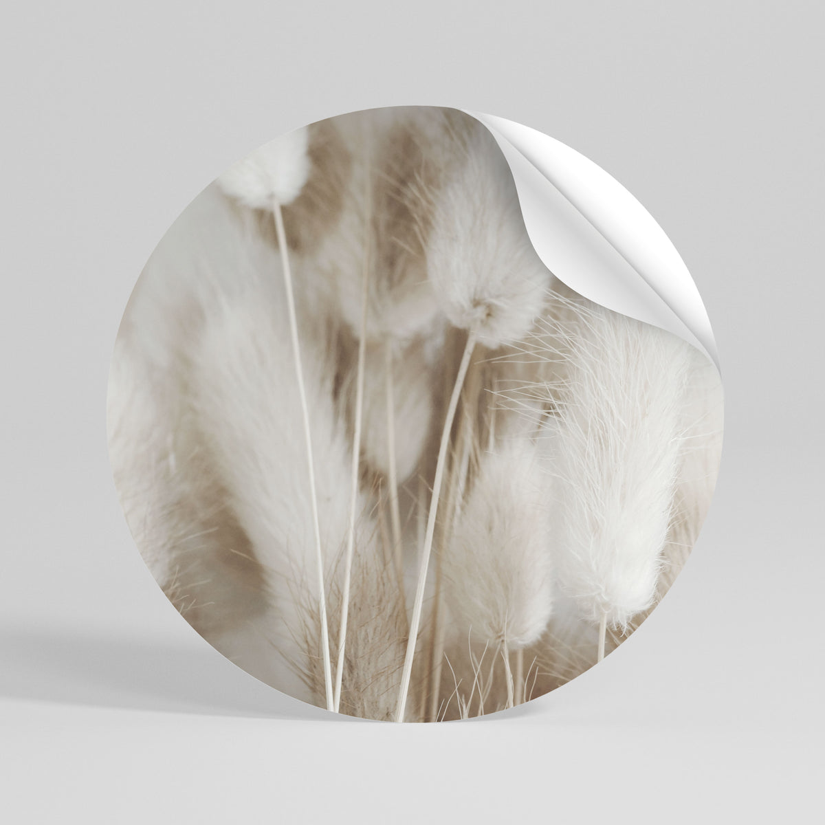 SOFTNESS IN FOCUS Vinilo adhesivo redondo