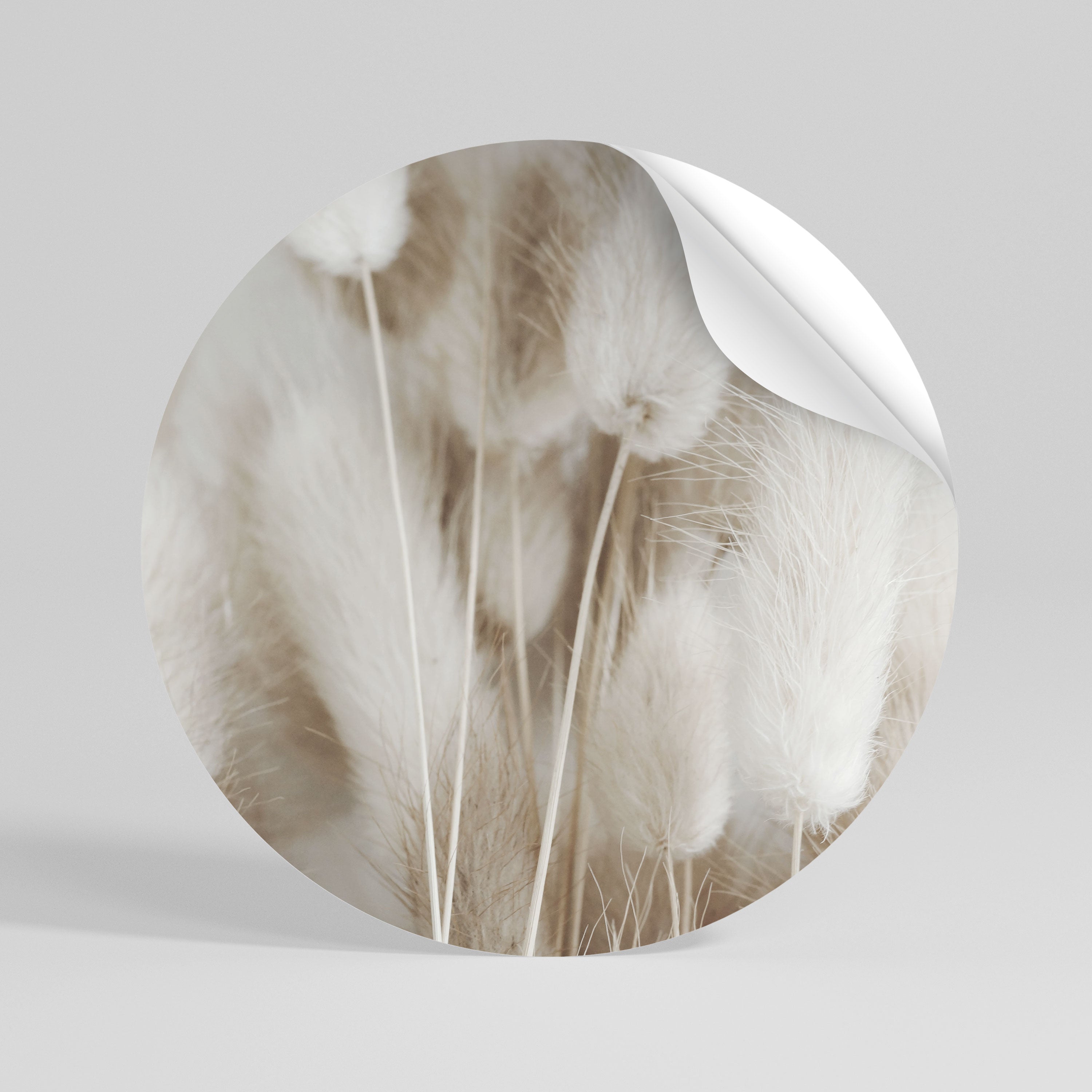 SOFTNESS IN FOCUS Vinilo adhesivo redondo