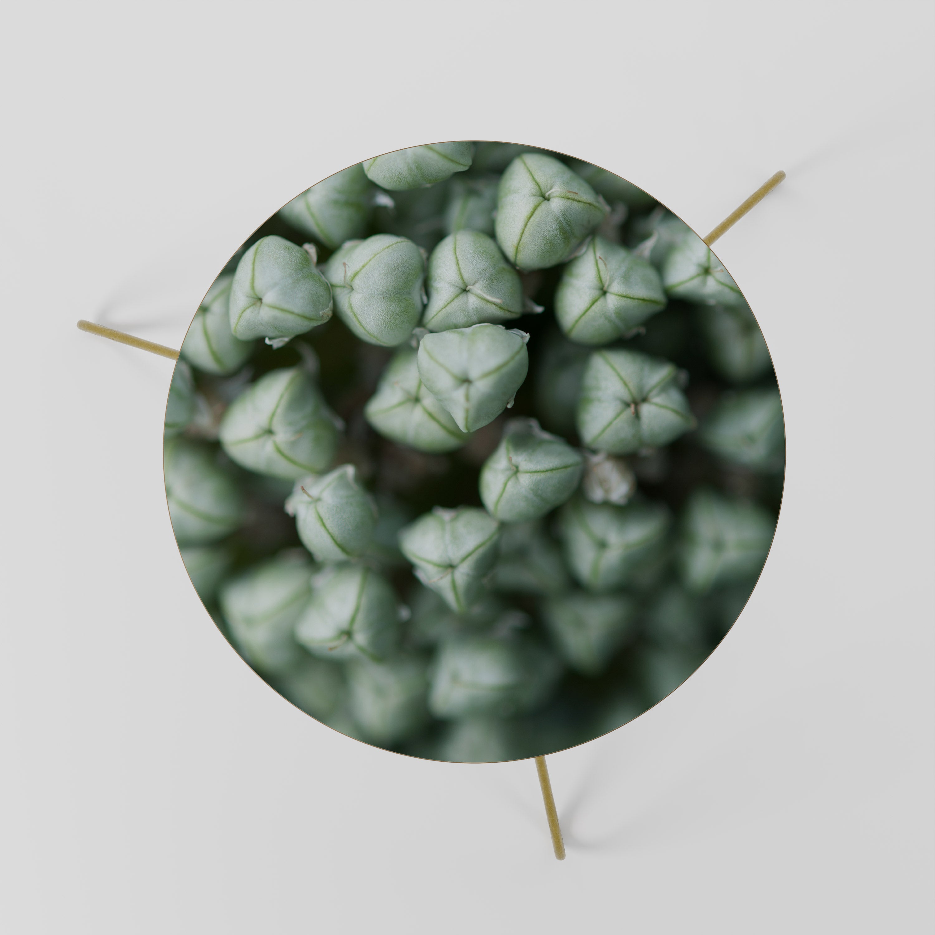 TEXTURED GREEN TIDBITS Coffee Table 60